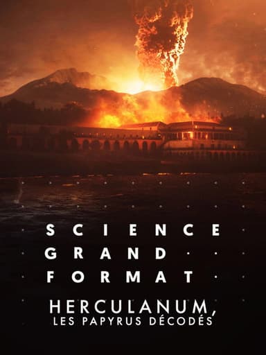 Herculanum, les papyrus décodés poster
