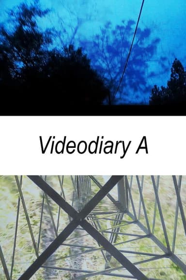 Videodiary A poster