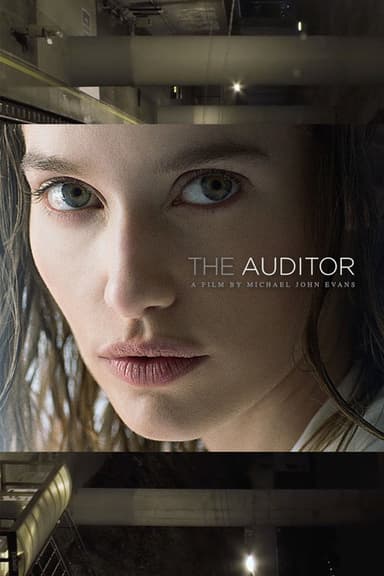 The Auditor poster