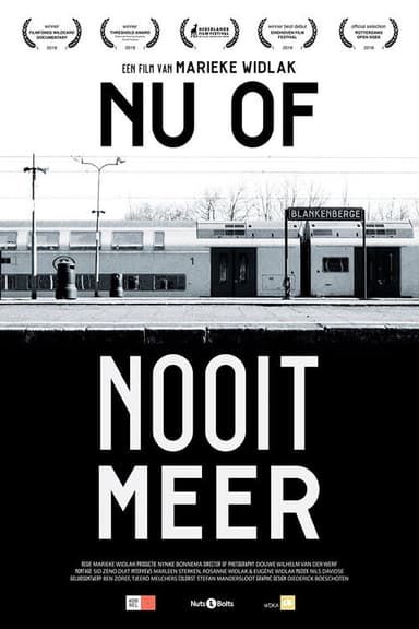 Now or Never Again poster