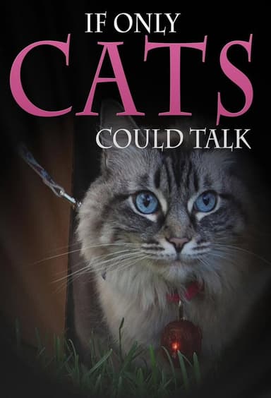 If Only Cats Could Talk poster
