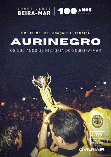 Aurinegro poster