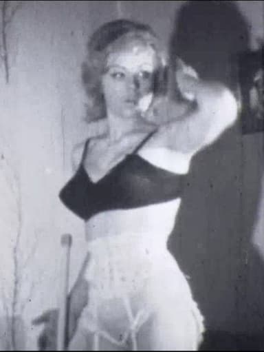 Model Maid poster