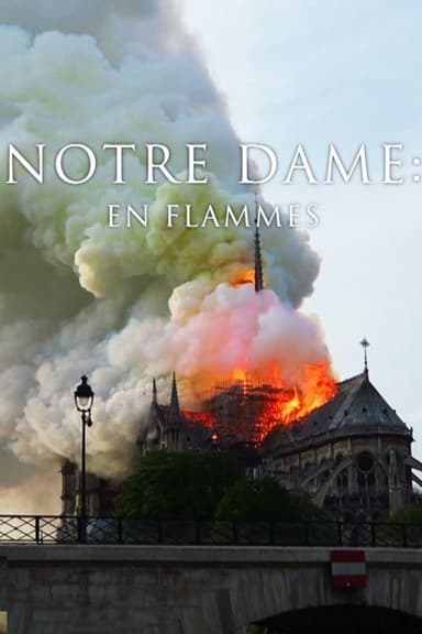 Pompiers de Paris : Sauver Notre-Dame poster