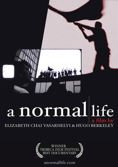 A Normal Life poster