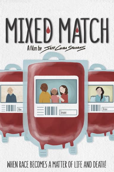 Mixed Match poster