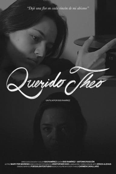 Querido Theo poster