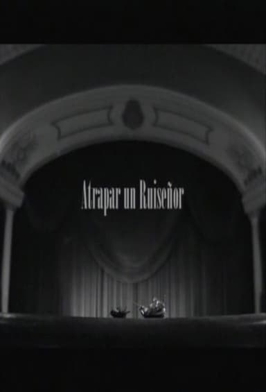 Atrapar un ruiseñor poster