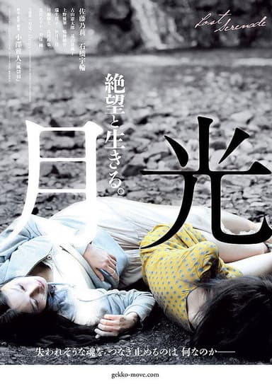 Lost Serenade poster