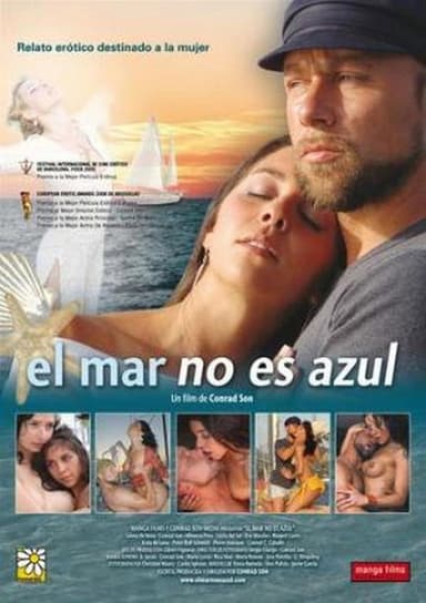 The Sea is not Blue poster