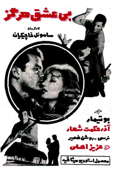 Never Without Love poster