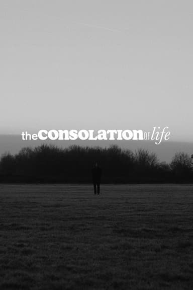 the consolation of life poster
