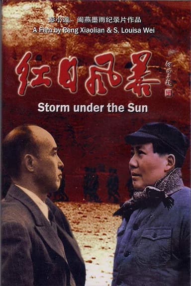 Storm Under the Sun poster