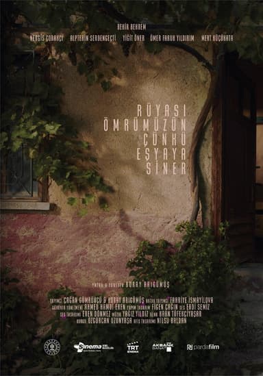 Everything in Its Right Place poster