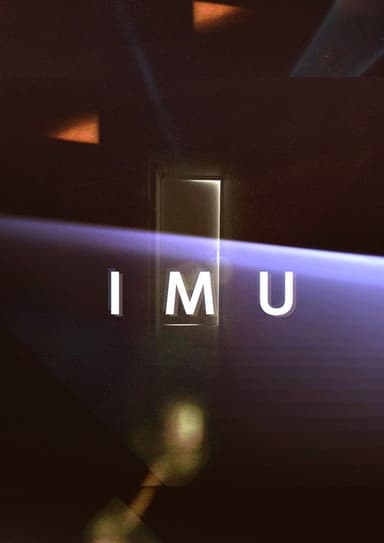 I M U poster