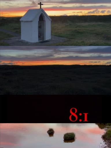 8:1 poster