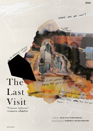 The Last Visit poster