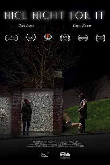 Nice Night for It poster