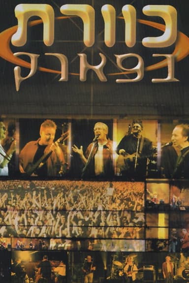 Kaveret in the Park poster