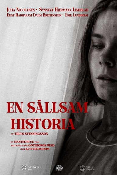 En sällsam historia poster