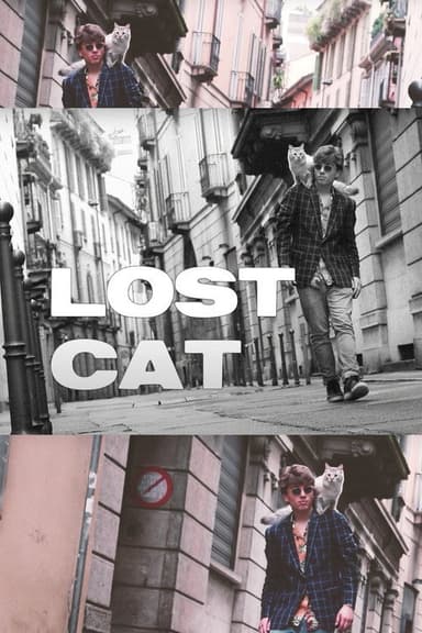 Lost Cat poster