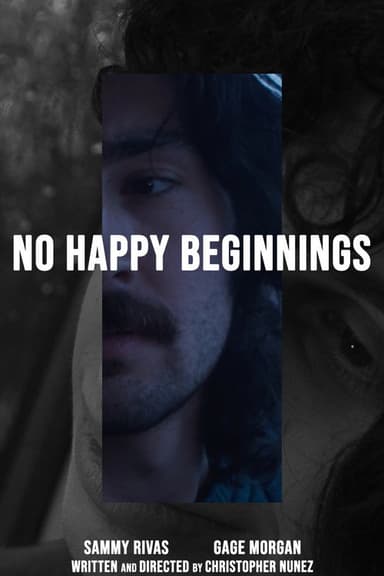No Happy Beginnings poster