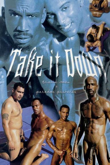 Take It Down poster