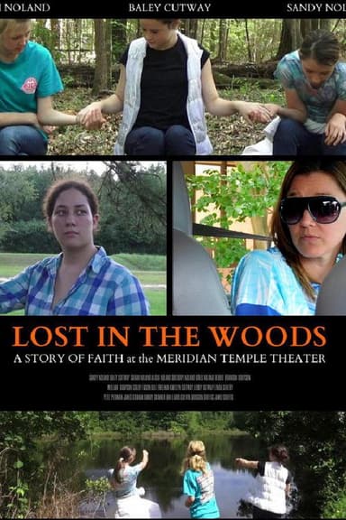 Lost in the Woods poster