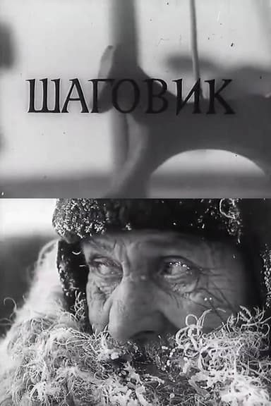 The Horse Walker poster