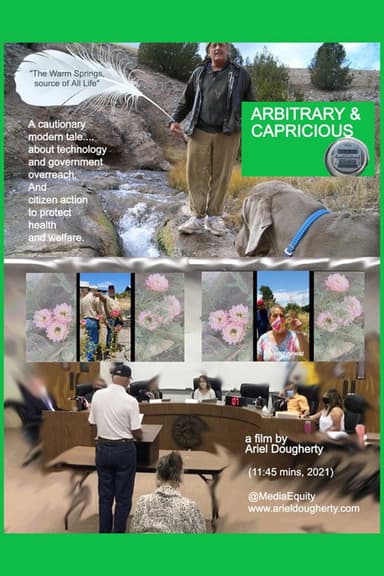 Arbitrary & Capricious poster