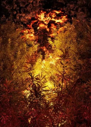 Firewalk poster