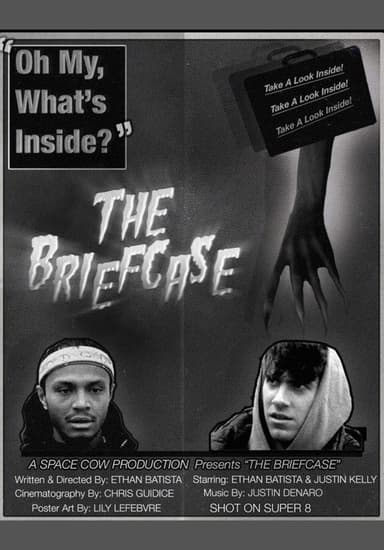 THE BRIEFCASE poster