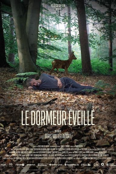 The Wakeful Sleeper poster