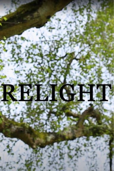 Relight poster