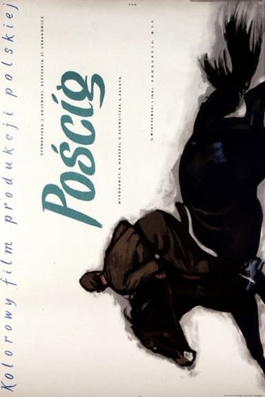 The Chase poster
