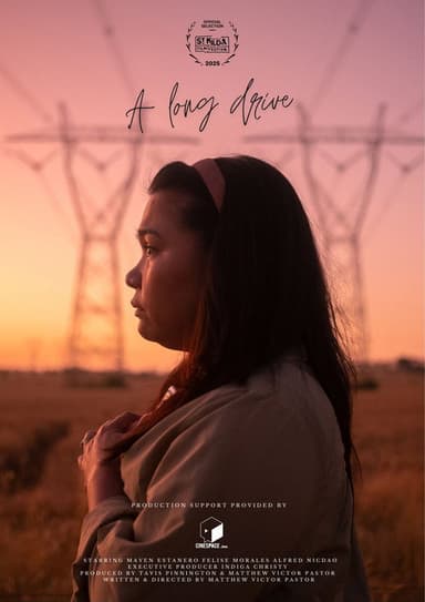A Long Drive poster