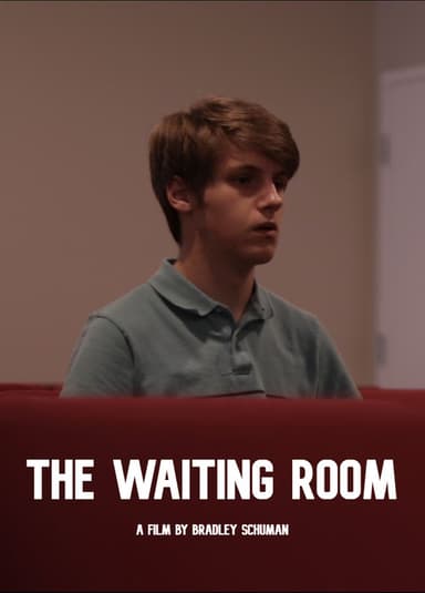 The Waiting Room poster