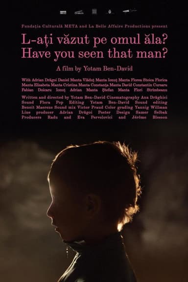 Have You Seen That Man? poster