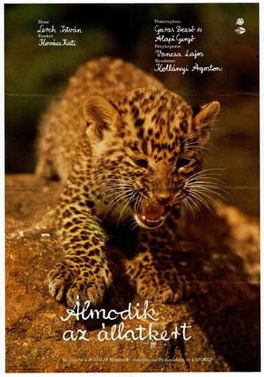 Dreaming Zoo poster