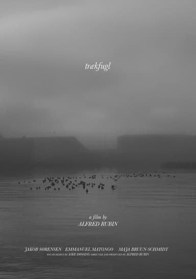 trækfugl poster