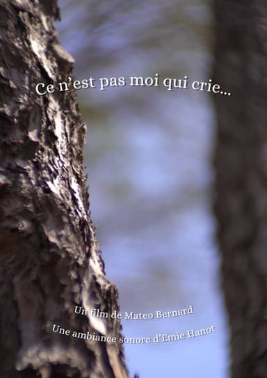 Ce n'est pas moi qui crie... poster