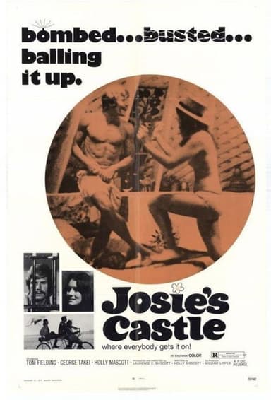 Josie's Castle poster
