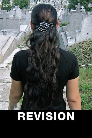 Revision poster