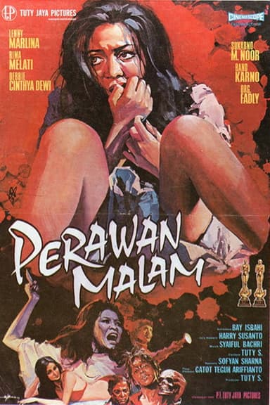 Night Virgin poster