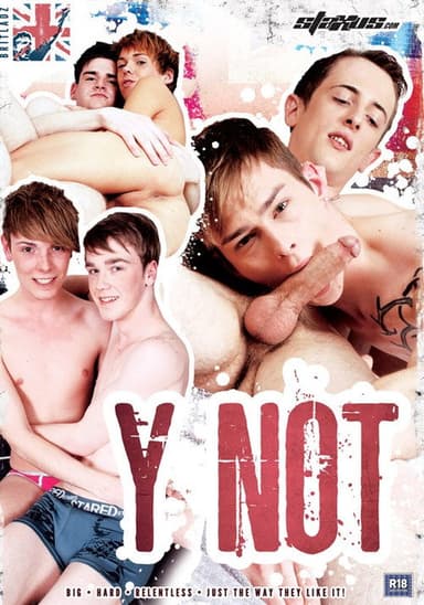 Y Not poster