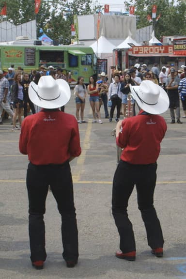 Stampede poster