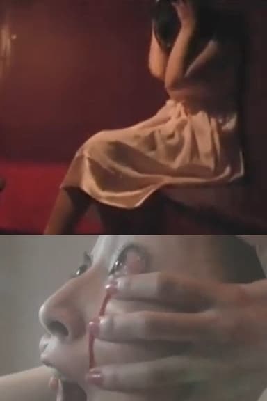 The Birth Of The Horror poster