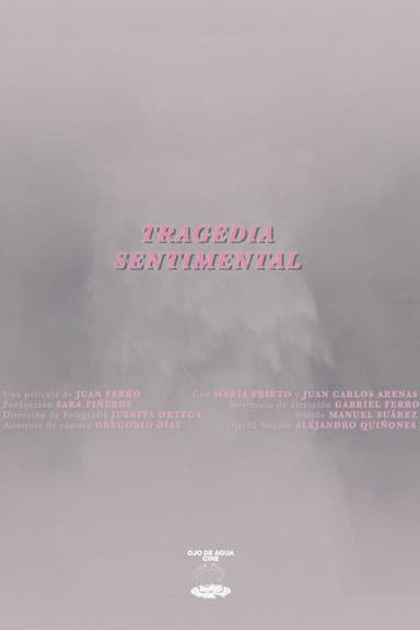 A Sentimental Tragedy poster