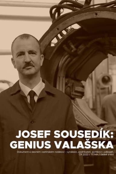 Genius Valašska poster