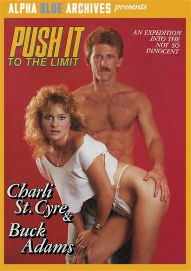Push It To the Limit poster